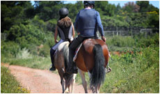 Métiers animaliers - Accompagnateur en tourisme equestre