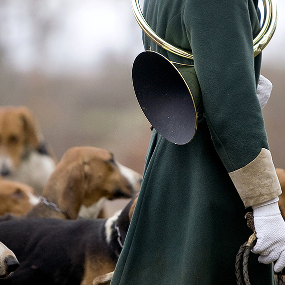 Pour l'abolition de la chasse à courre