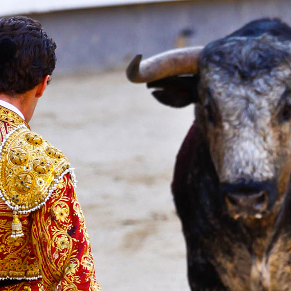 Pour l’abolition définitive de la corrida en France